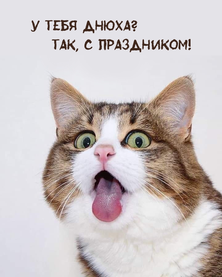 � ���� �����? ���, � ����������!