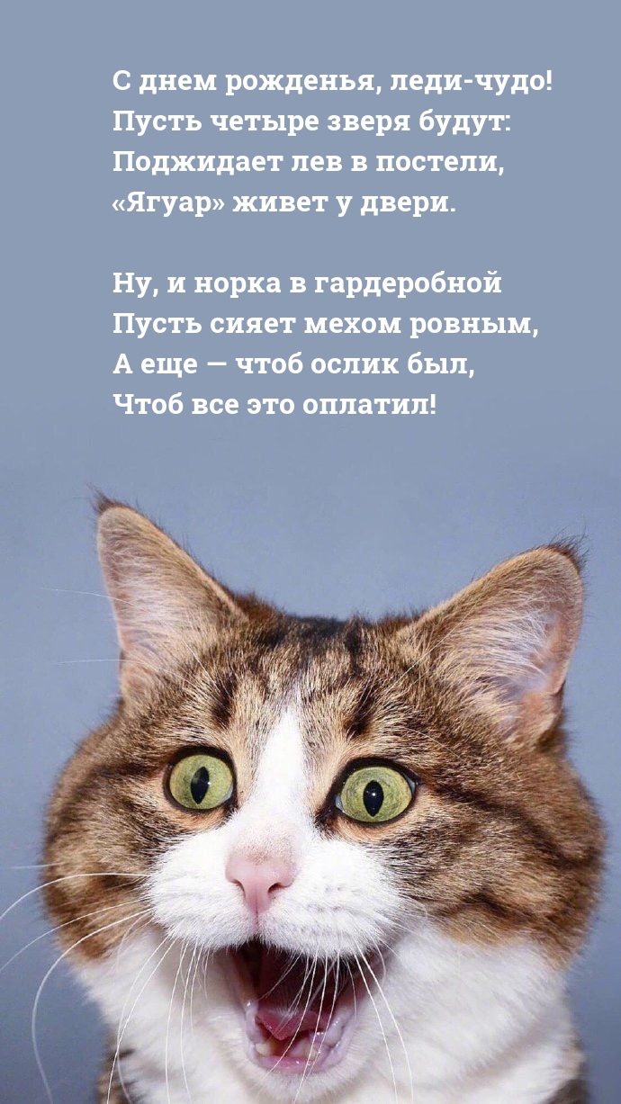 � ���� ��������, ����-����! ����� ������ ����� �����