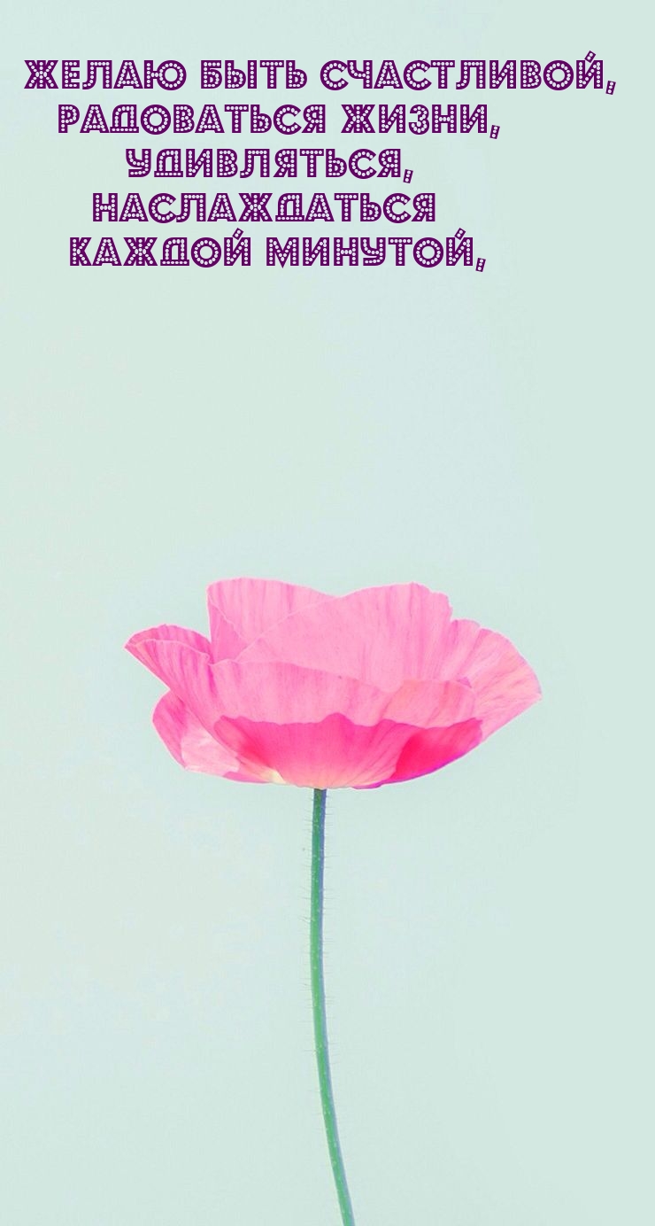 ����� ���� ����������, ���������� �����.