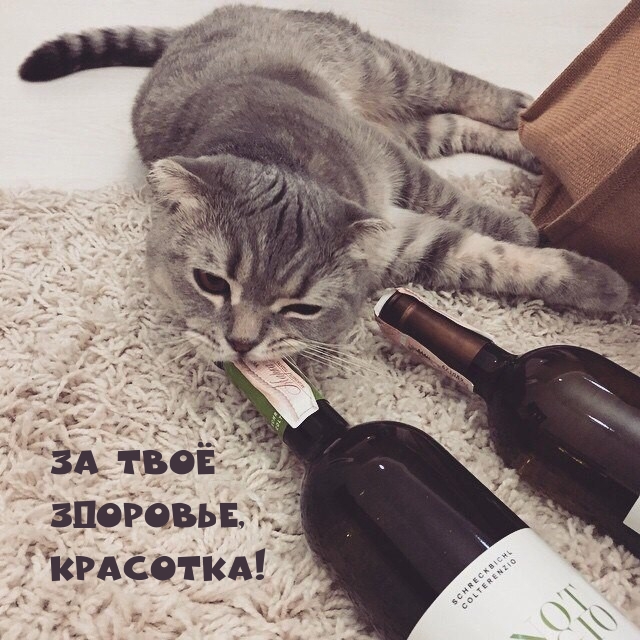 �� ��� ��������, ��������!.