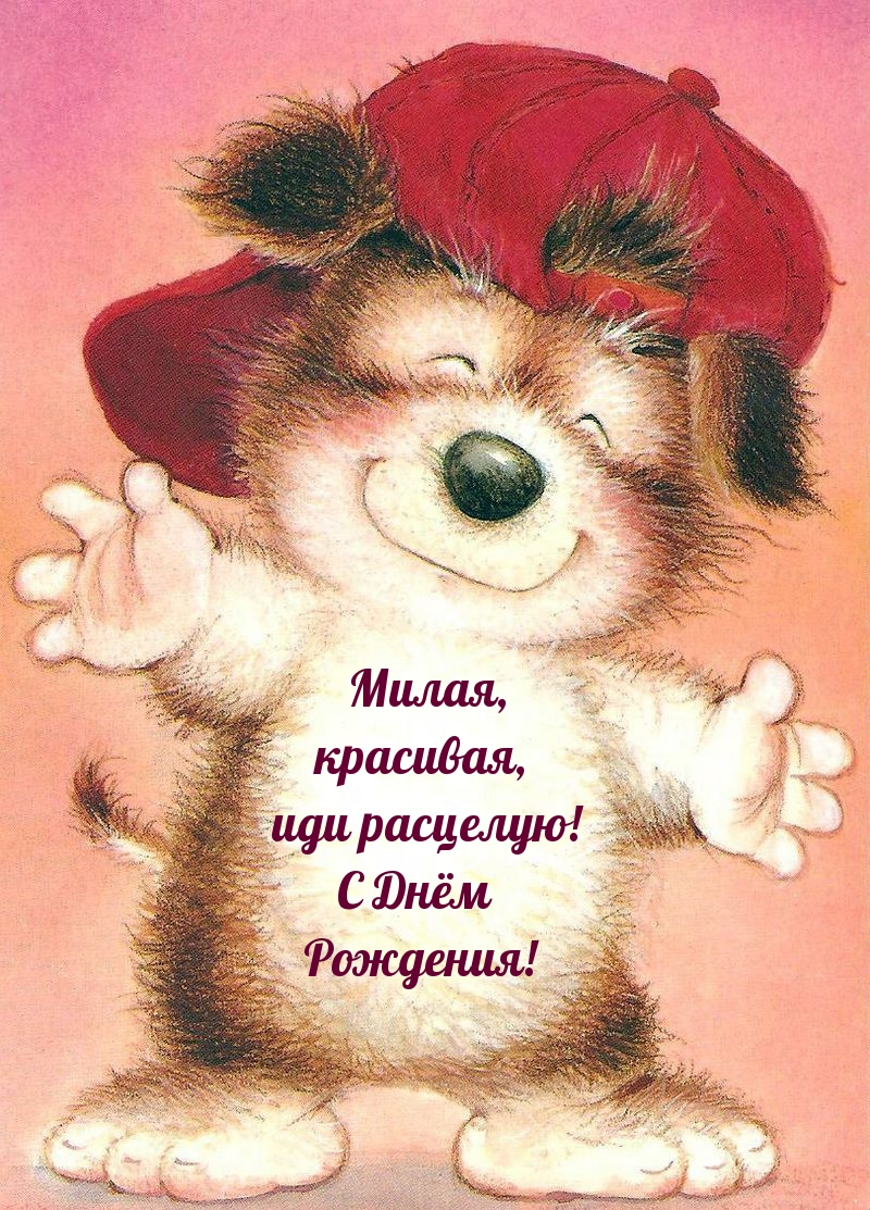 С днем рождения животные рисунок