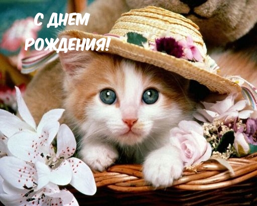   !.
