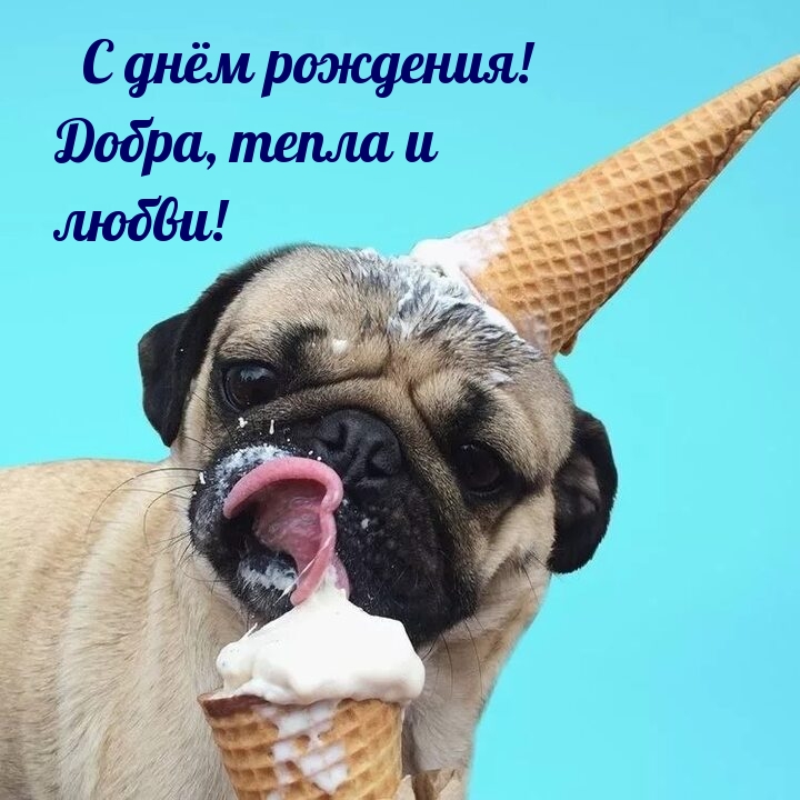� ���� ��������! �����, ����� � �����!