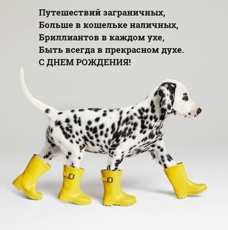 ����������� �����������, ������ � �������� ��������