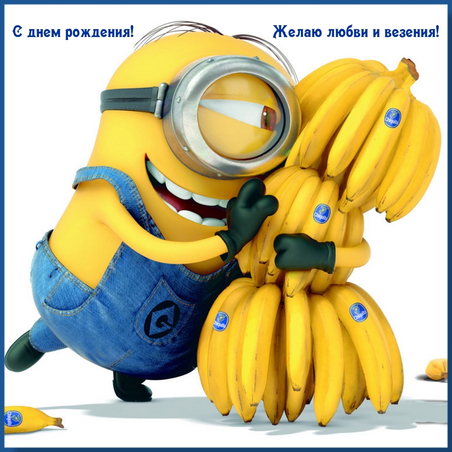 � ���� ��������! ����� ����� � �������!