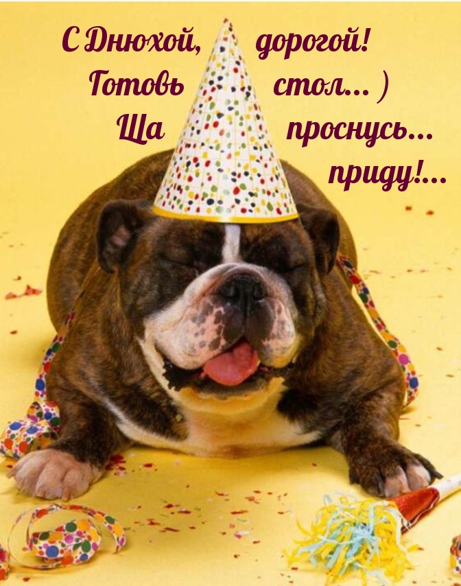 � ������, �������! ������ ����... ) �� ��������...                                             �����!...