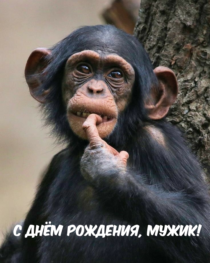 � ���� ��������, �����!.