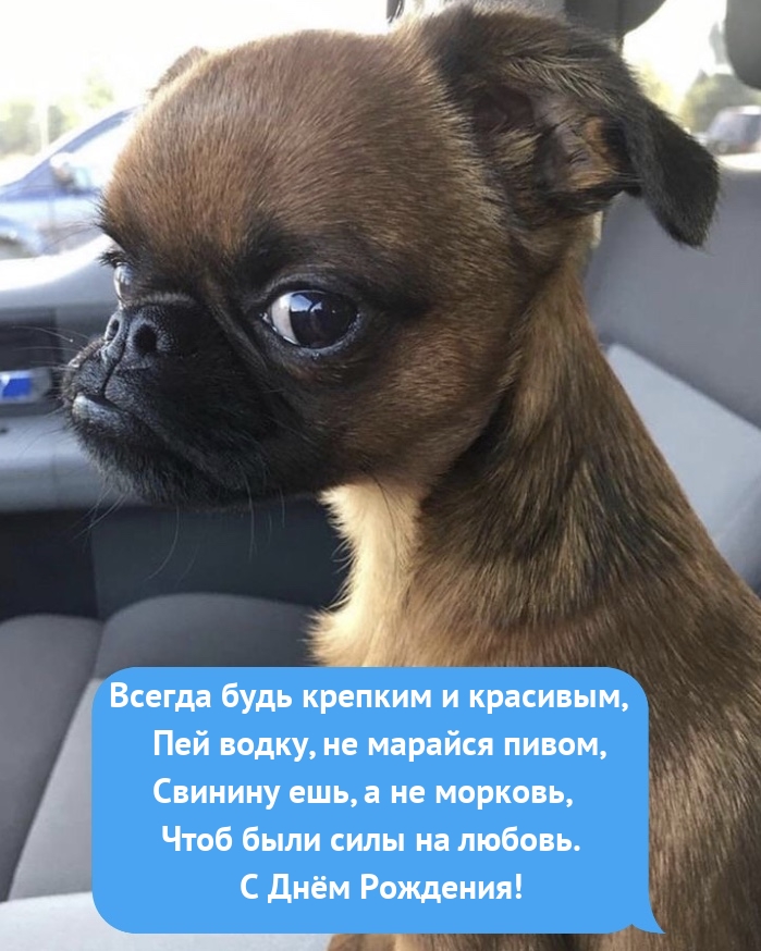 ������ ���� ������� � ��������, ��� �����, �� ������� �����.