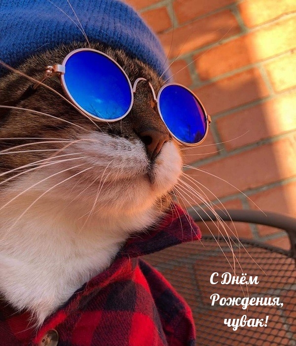 � ���� ��������, �����!.