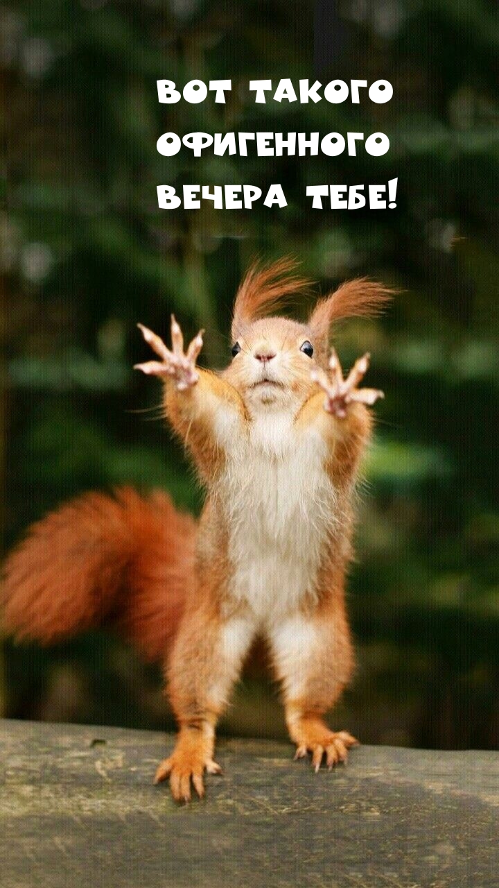 ��� ������ ���������� ������ ����!