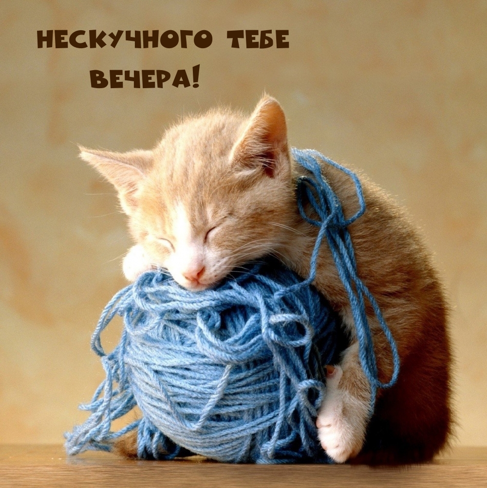 Нескучного тебе Вечера!