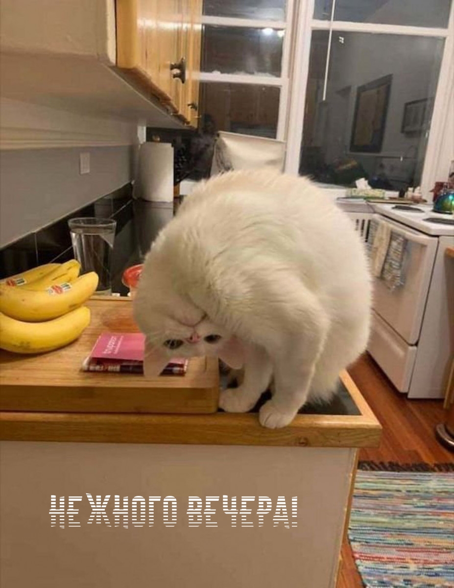 ������� ������!.