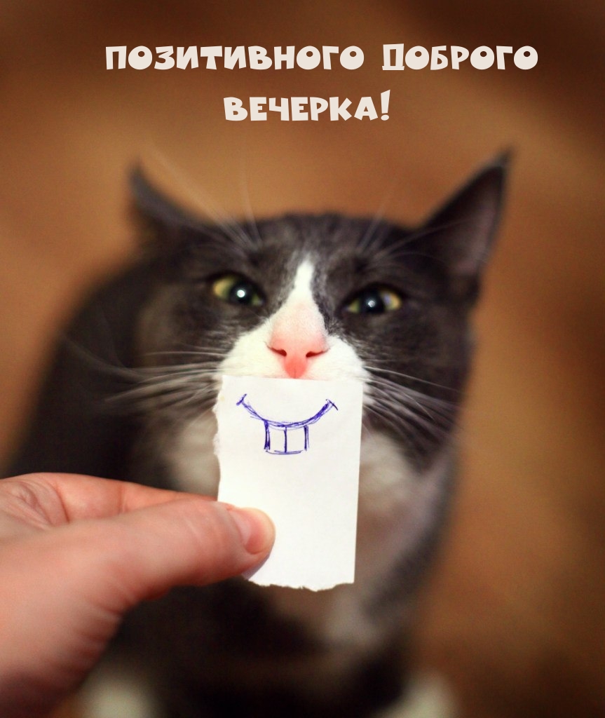 ����������� ������� �������! - �������� � ���������