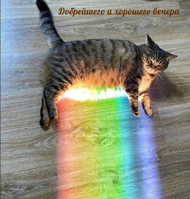 ���������� � �������� ������