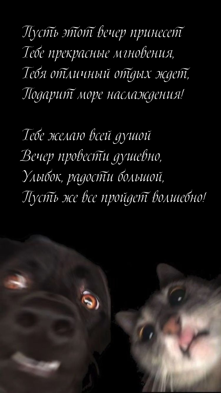 ���� ����� ���� ����� ����� �������� �������.