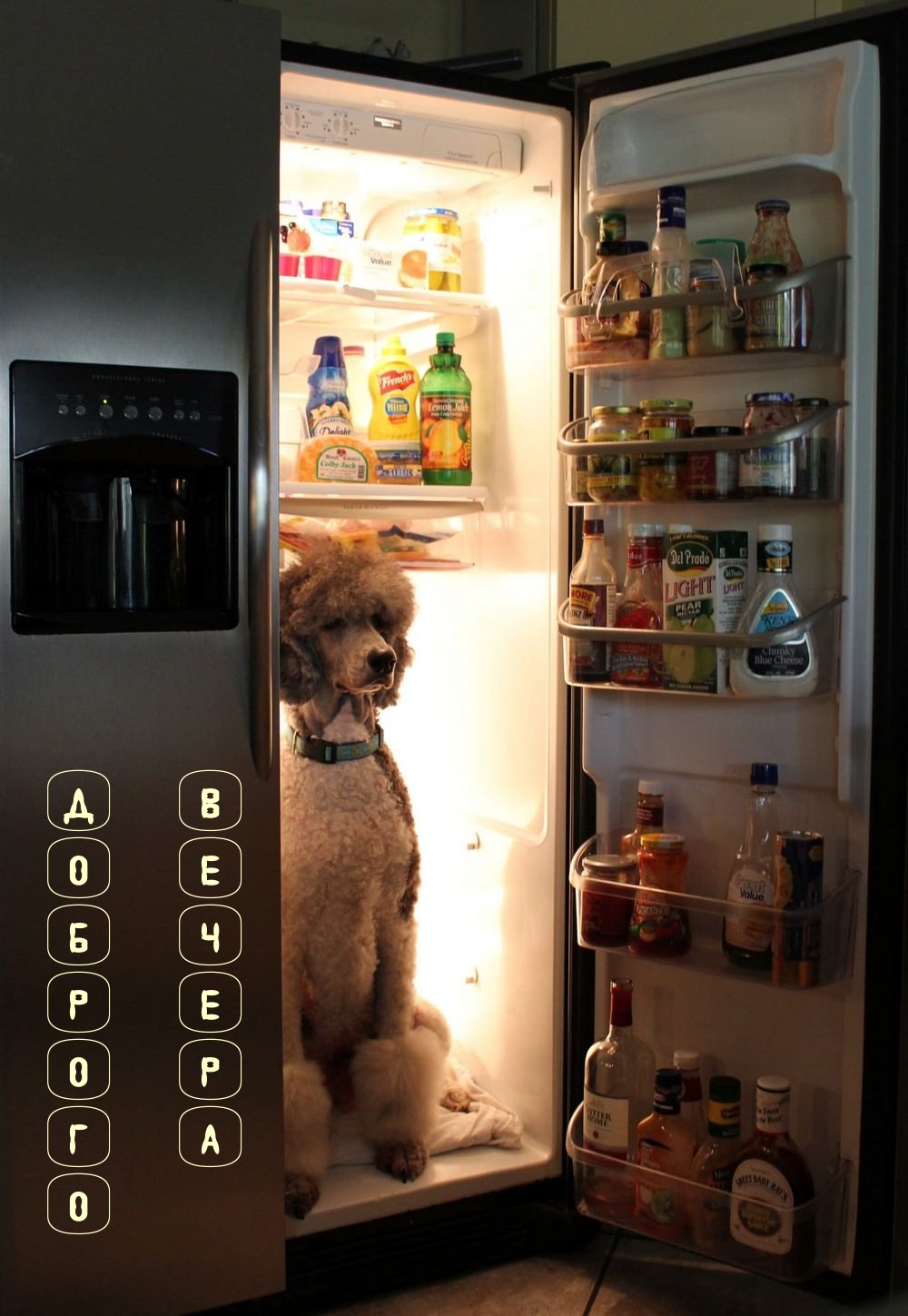 Мой холодильник зверь открываю его дверь. Вдруг какой-то страшный зверь. Мой холодильник зверь открываю его дверь. Котята грабят холодильник. Мой холодильник зверь открываю его дверь.