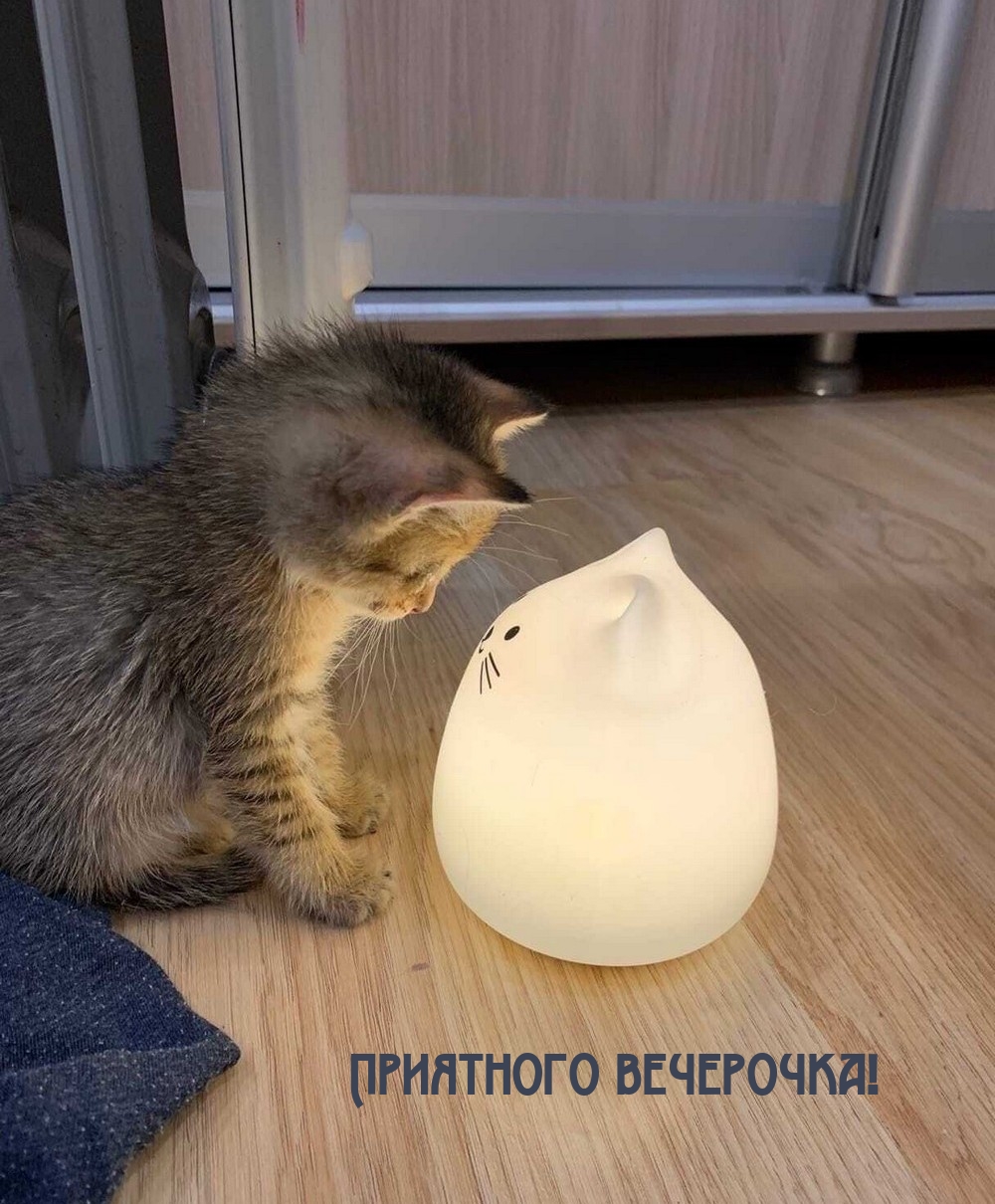  !