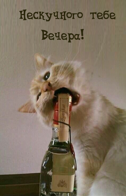 Нескучного тебе вечера!