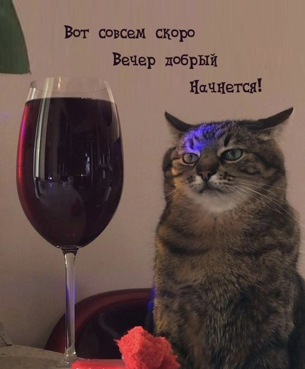 Вот совсем скоро Вечер добрый Начнется!