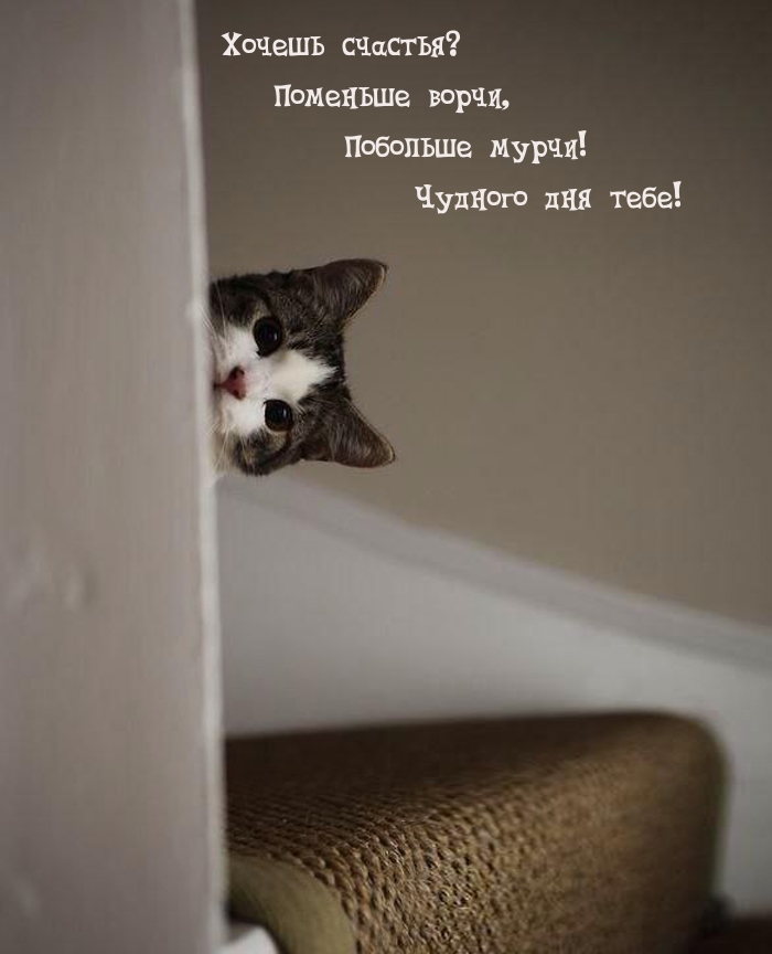  ?  ,  !  !