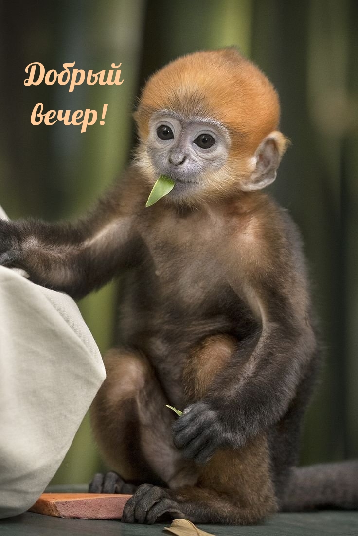 ������ �����!.