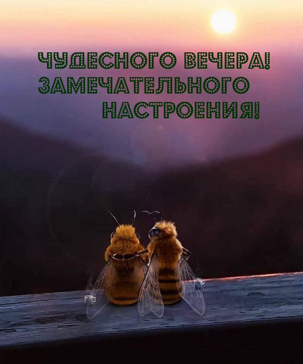 Картинки с надписью - Чудесного вечера! Замечательного настроения!.