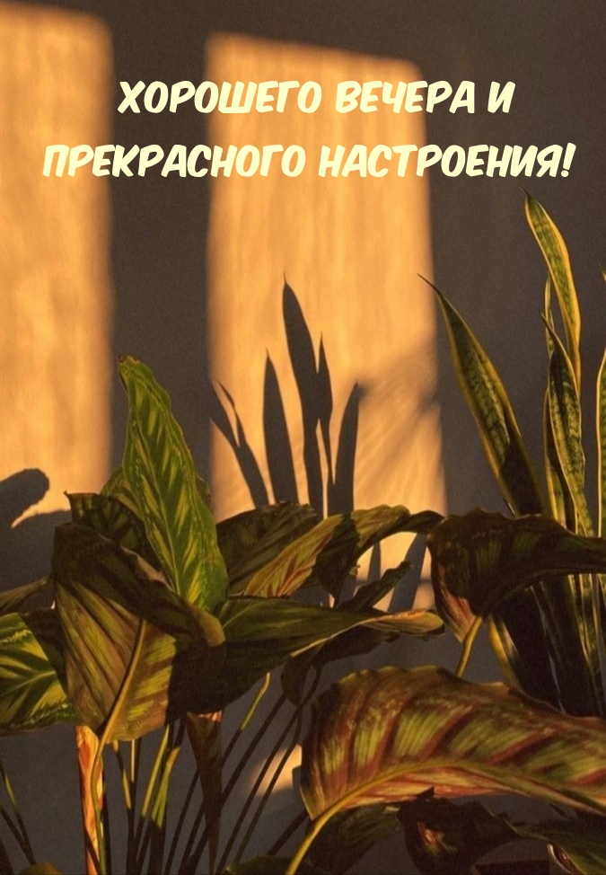 �������� ������ � ����������� ����������!