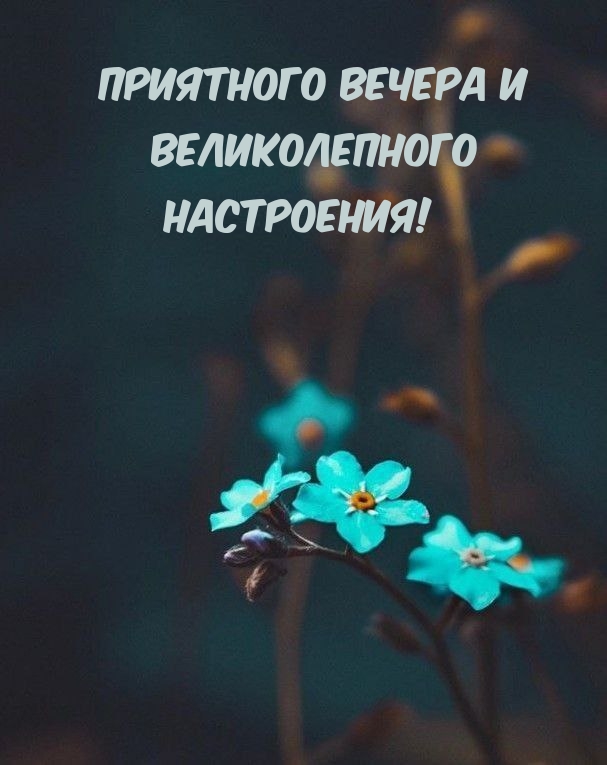 ��������� ������ � ������������� ����������!