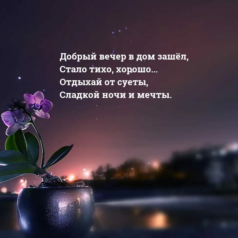 Картинки с надписью - Добрый вечер в дом зашёл Отдыхай от суеты, сладкой  ночи и мечты..