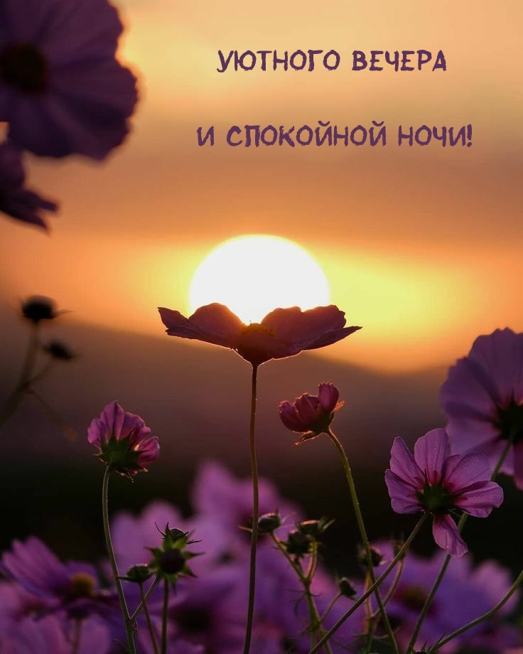 ������� ������ � ��������� ����!.