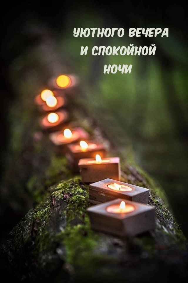 Уютного вечера и спокойной ночи