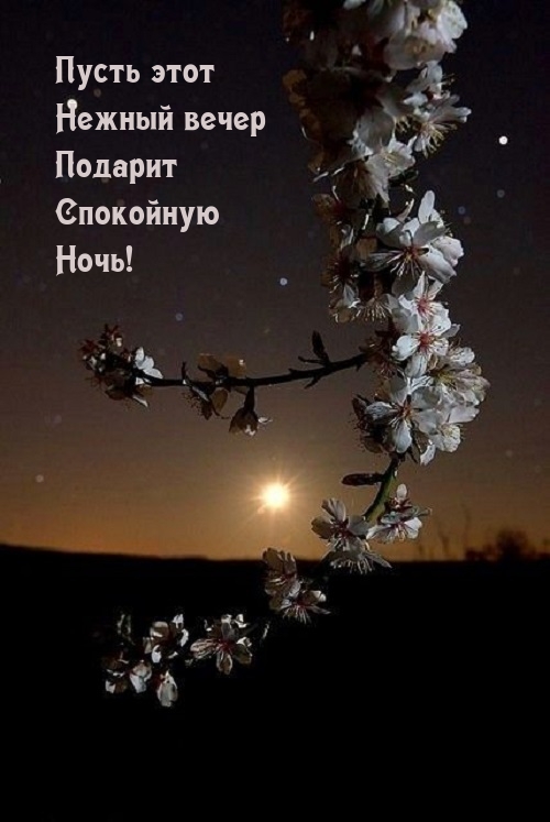 Пусть этот нежный вечер подарит спокойную ночь!
