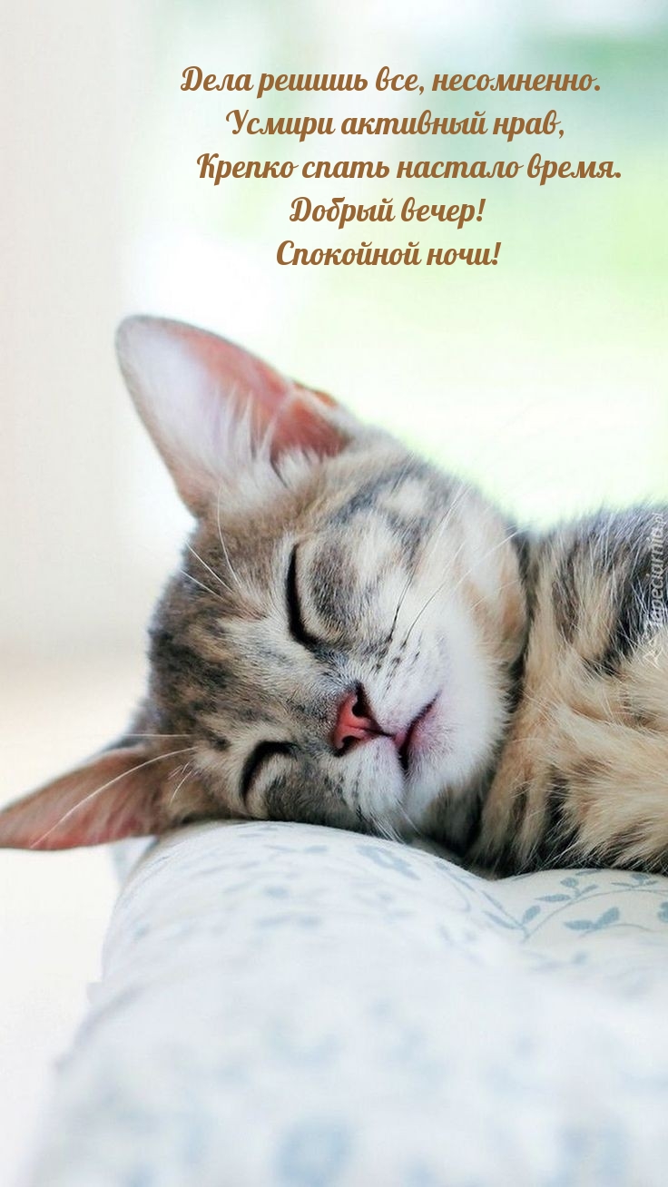 ������ �����! ��������� ����! ���� ������ ���, ����������..