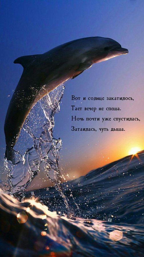 Картинки с надписью - Вот и солнце закатилось, тает вечер не спеша..