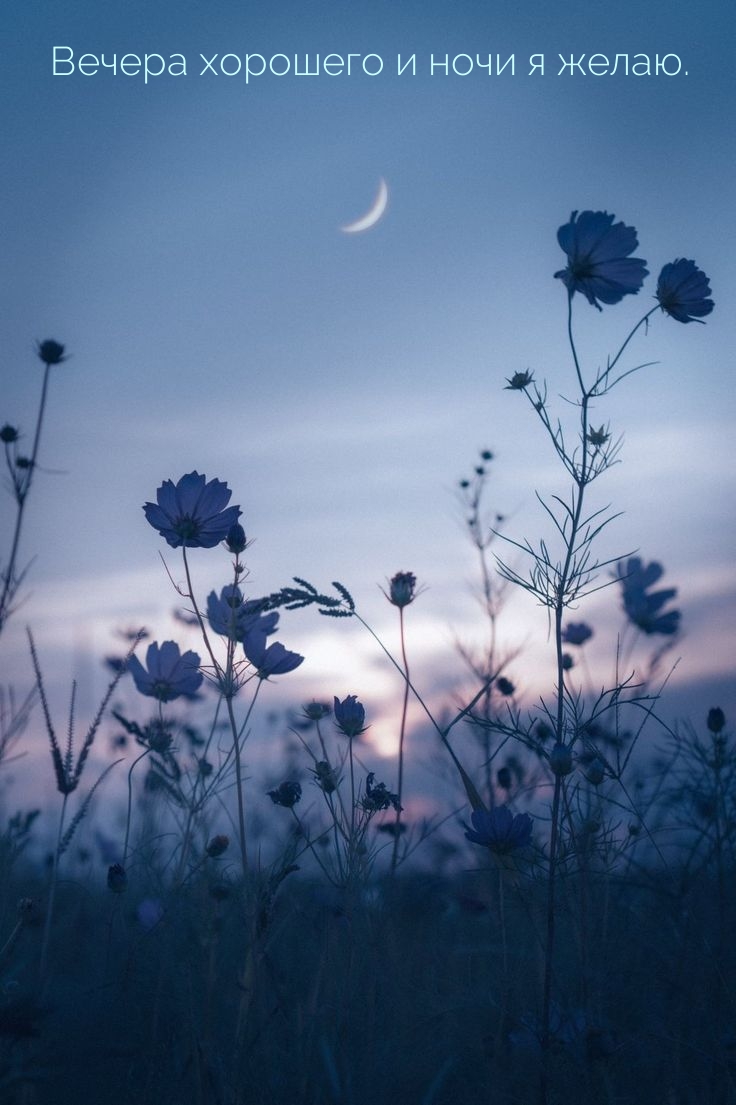 ������ �������� � ���� � �����..