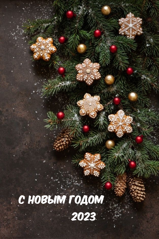 � ����� ����� 2023