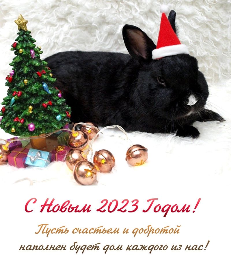 � ����� 2023 �����! ����� �������� � �������� �������� ����� ���  