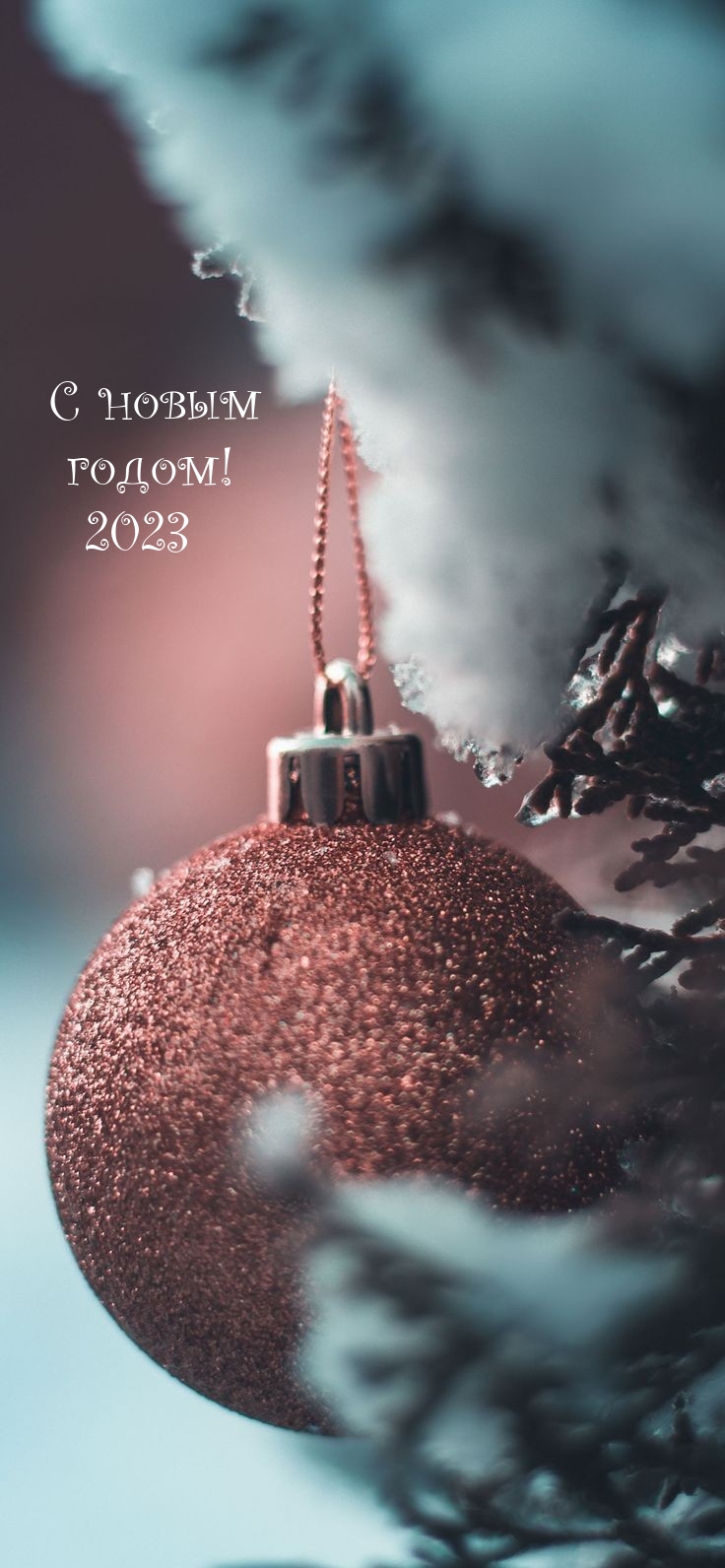� ����� �����! 2023