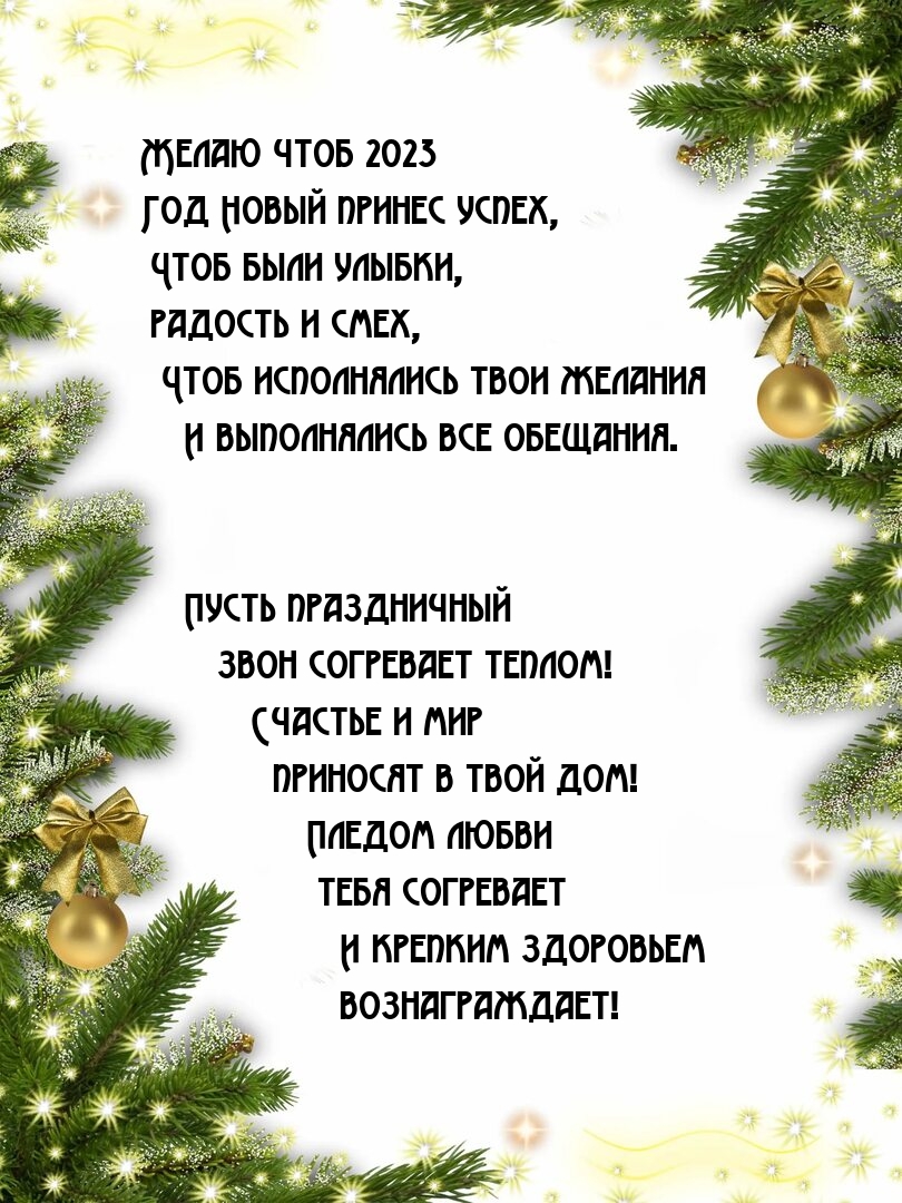 ����� ���� 2023 ��� ����� ������ �����