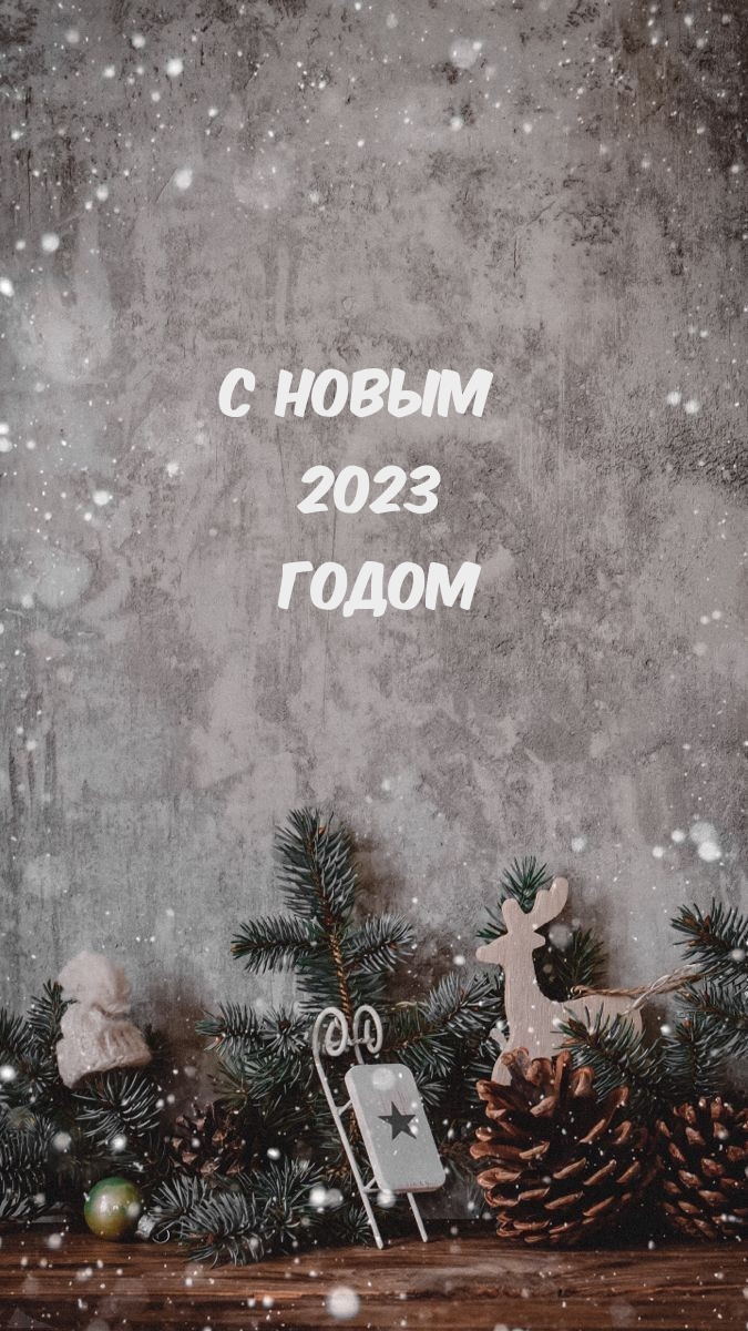 � ����� 2023 �����
