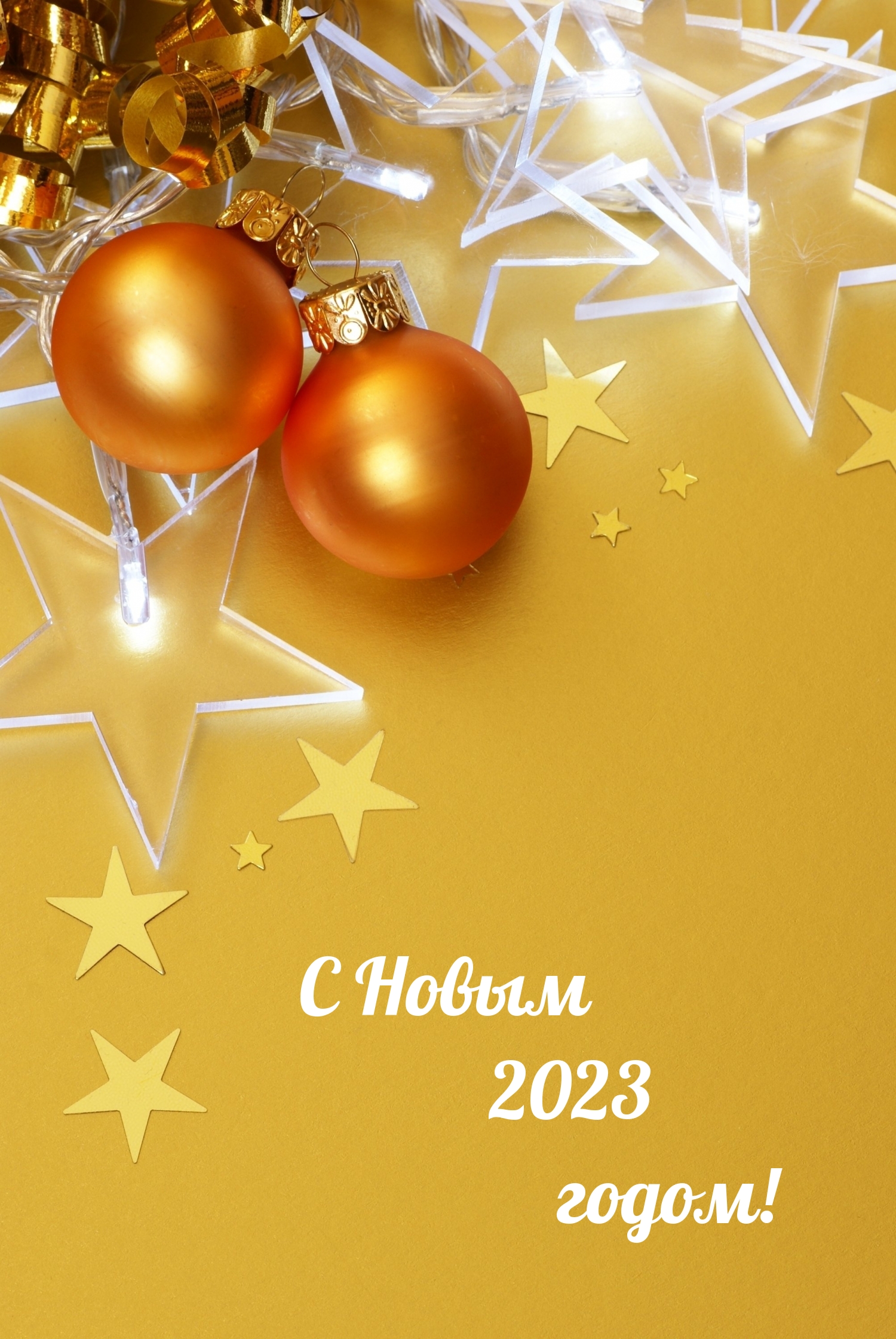 � ����� 2023 �����!