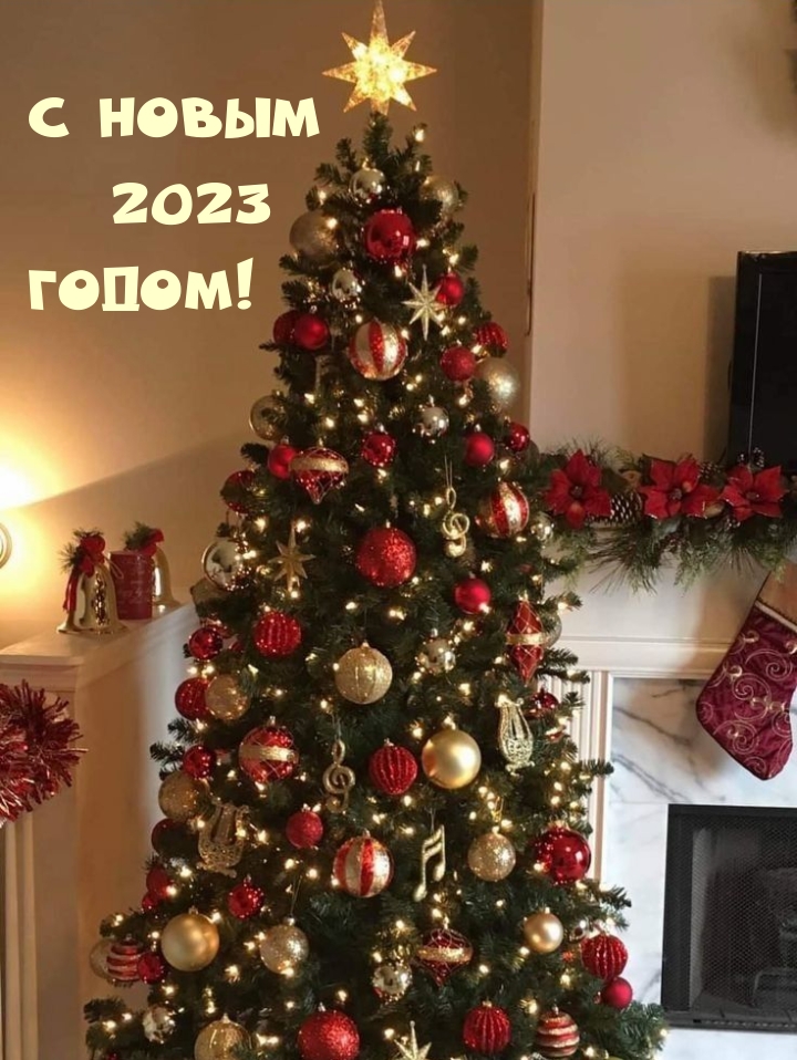 � ����� 2023 �����!