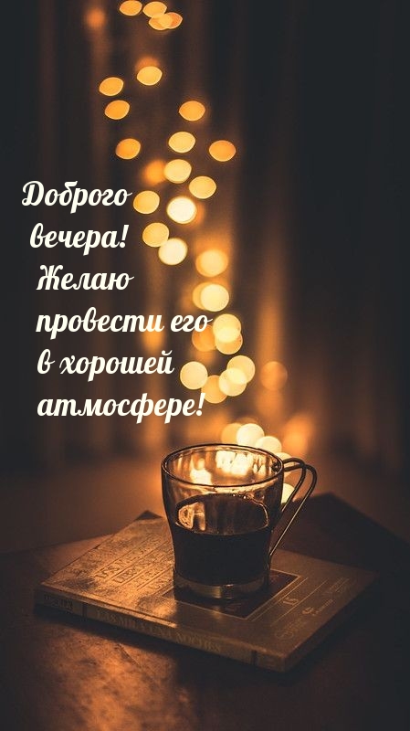 Доброго вечера! Желаю провести его в хорошей атмосфере!