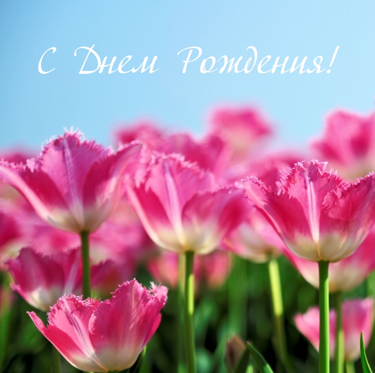 С Днем Рождения!
