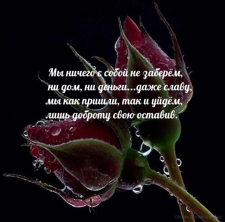 �� ������ � ����� �� ������....