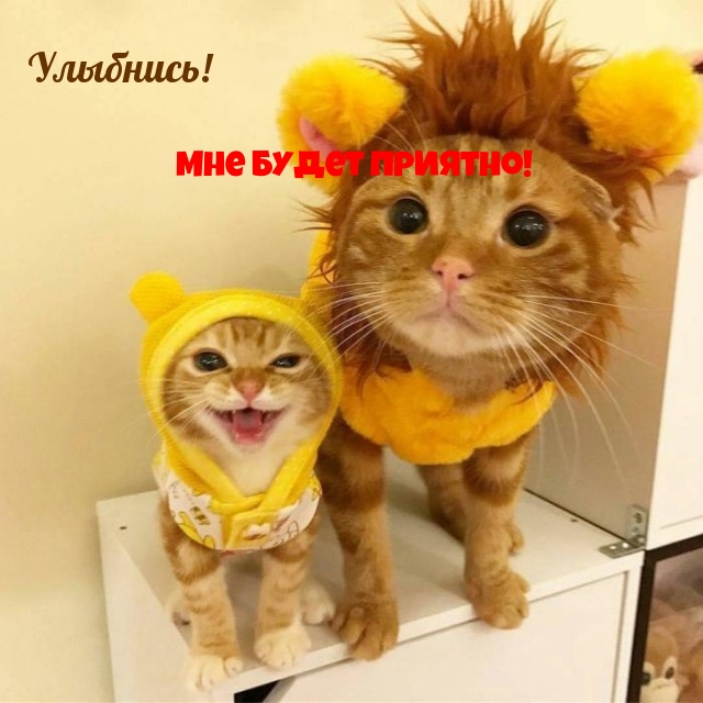 Улыбнись! Мне будет приятно!
