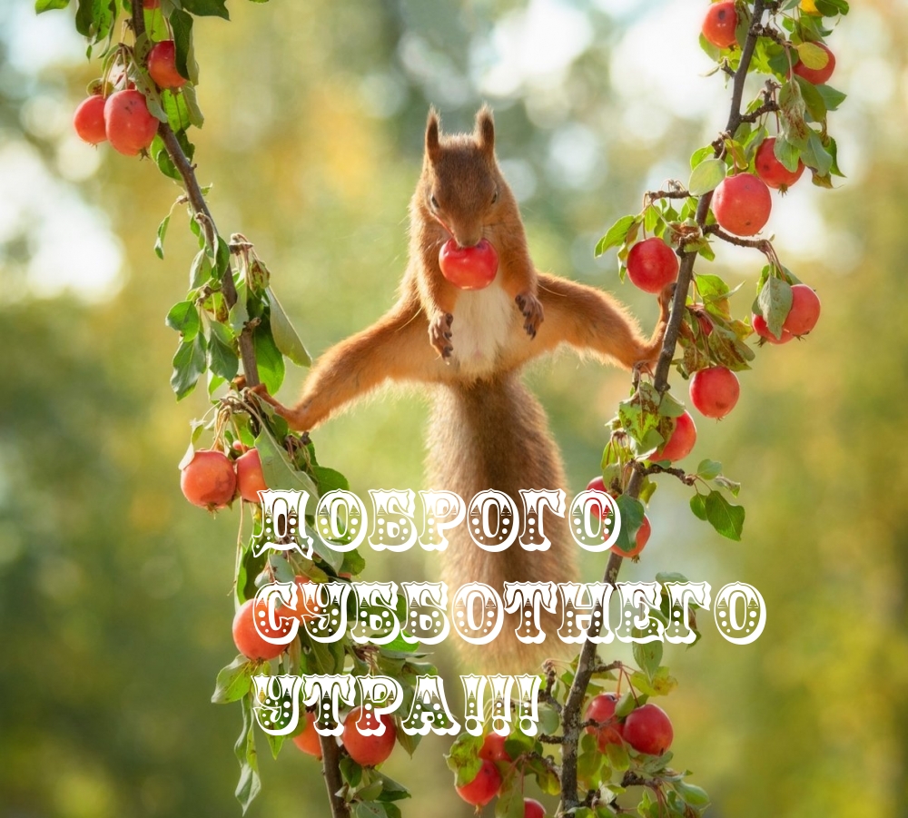 ������� ���������� ��������� ����!.