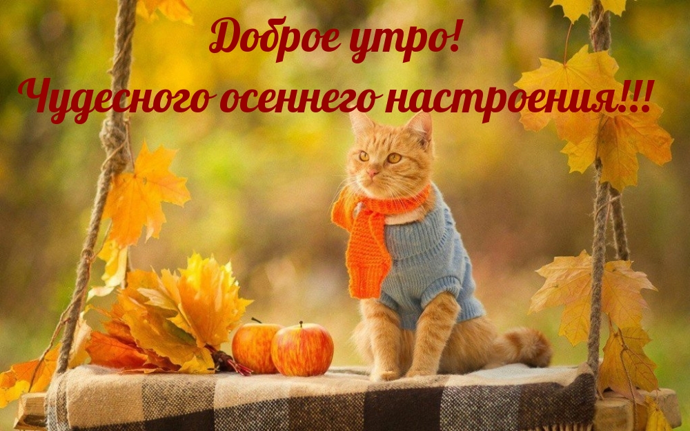 ������ ����! ��������� �������� ����������!