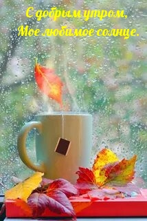 � ������ �����, ��� ������� ������..