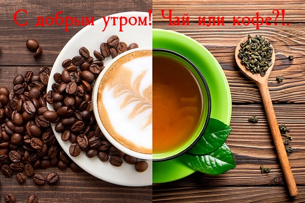 � ������ �����! ��� ��� ����?!..